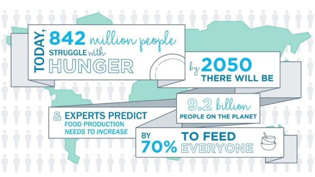 Datos que inspiraron un programa de la RE de General Mills