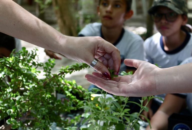 Más de 70 niños y niñas de Mérida aprendieron el valor de cuidar el Planeta en una nueva edición de Eco Jornadas LTH