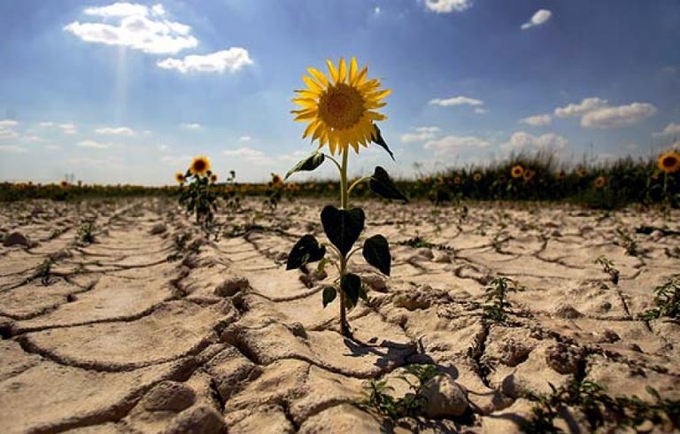 Combatir la crisis climática requiere una transformación radical del uso del suelo
