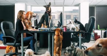 ¿Por qué ser una oficina Pet Friendly?