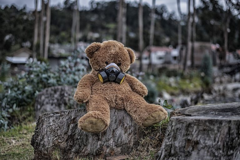 Latam, riesgo para ambientalistas: 164 asesinados