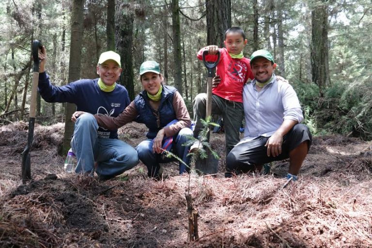 Boehringer Ingelheim suma 53 mil árboles plantados a su iniciativa Reforestar para Respirar
