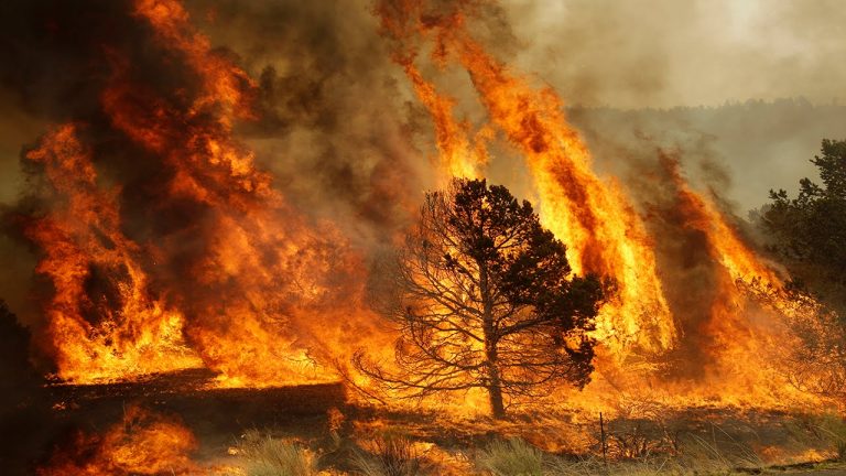 Incendios por cambio climático: estas regiones también están en llamas