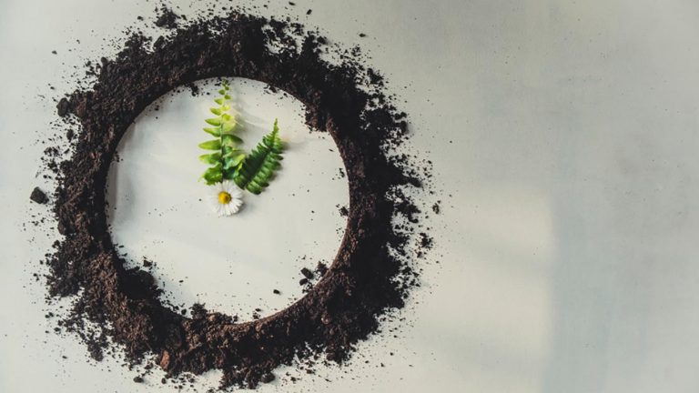 La economía circular en la cadena de valor