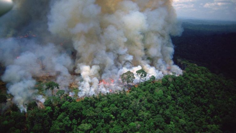 Amazonia brasileña arde a ritmo récord; presidente culpa a OSC