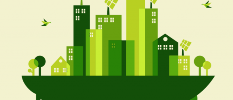 10 principios hacia una economía verde