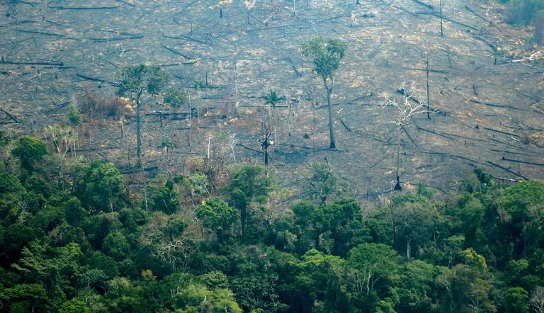 Es un error decir que la Amazonia es un pulmón del mundo, dice Bolsonaro en la ONU