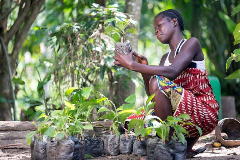 ¿Puede una app erradicar la pobreza en la cadena de suministro de cacao?