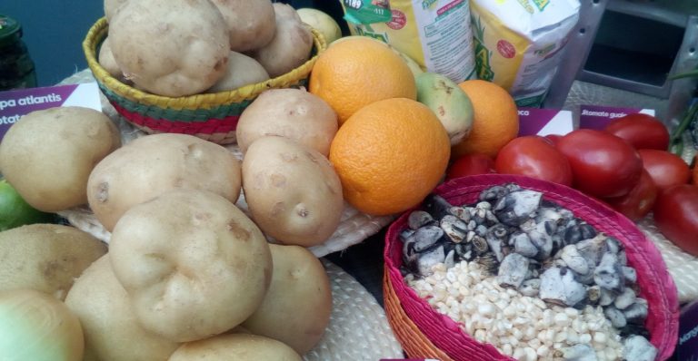 Sin las empresas no podremos erradicar el hambre: Moez El Shohdi