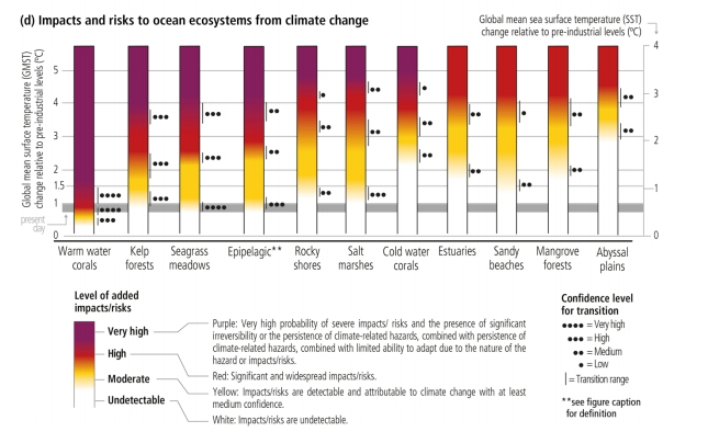  Hallazgos del informe especial del IPCC sobre cambio climático y los océanos   