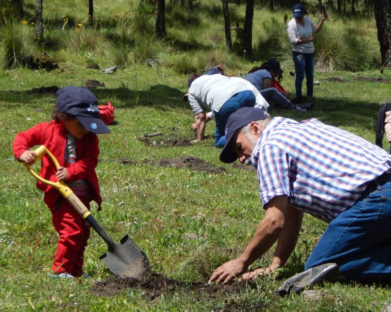 Mexicanos, ¿lejos de ser sustentables?
