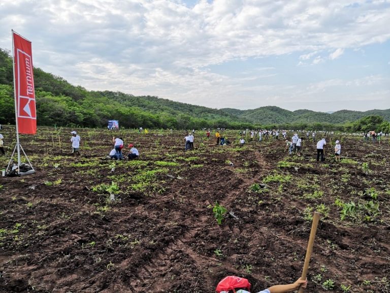Por recortes, empresas reciben más solicitudes de apoyo de OSC