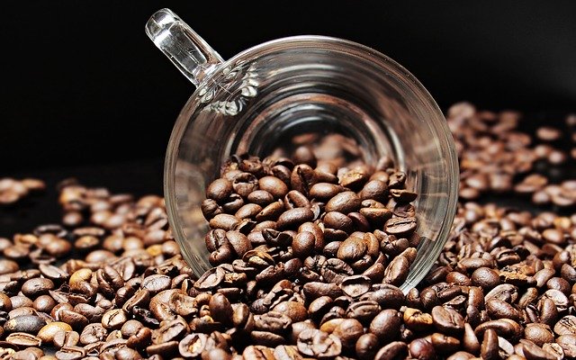 Nestlé México avanza rumbo a la inauguración de su nueva planta de café en Veracruz