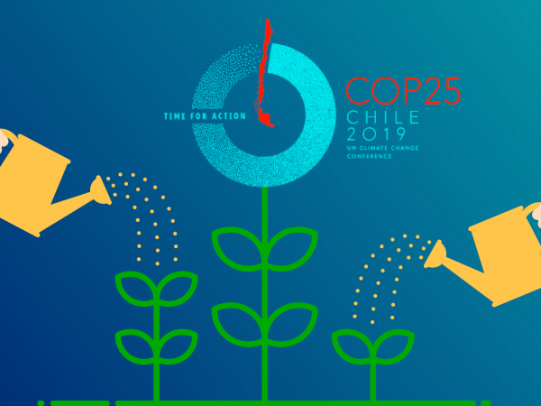 10 claves para entender la COP 25