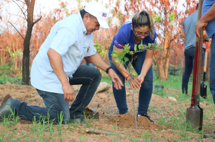 colaboradores interesados en sustentabilidad