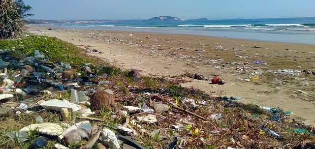 Contaminación. ¿Consumidores responsables? solo de palabra, señala estudio