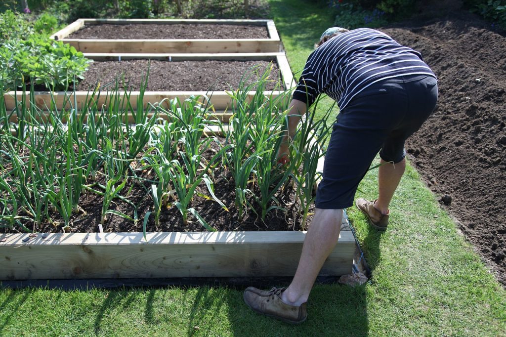 Jardinero. ¿Y si plantas un jardín casero durante el confinamiento?