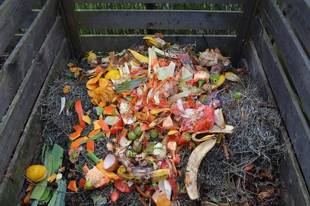 Basura. ¿Y si plantas un jardín casero durante el confinamiento?