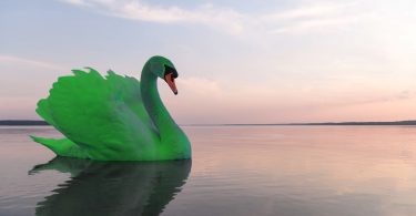 John Elkington habla de cisnes verdes y la inevitabilidad de una recuperación verde