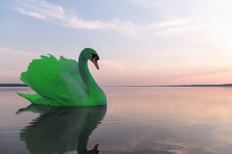 John Elkington habla de cisnes verdes y una inevitable recuperación verde