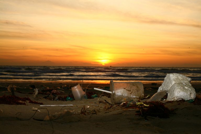 WWF enumera 4 tácticas que las corporaciones globales pueden usar para combatir la contaminación por plásticos