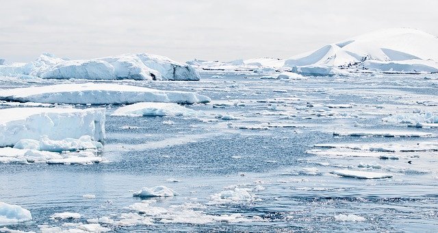 antartica. ¿Pueden de verdad existir líderes verdes en medio de un sistema capitalista?