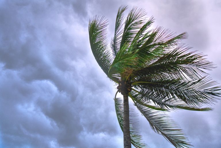 Temporada de huracanes: prevención para PyMEs