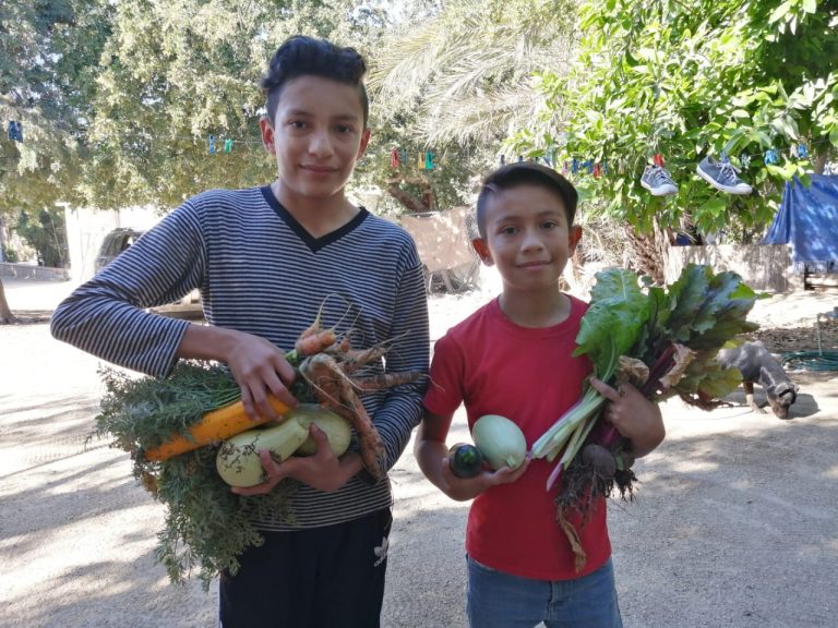 Donaciones internacionales por ICF ante el COVID-19