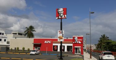 KFC admite que un tercio de sus pollos sufre inflamación dolorosa