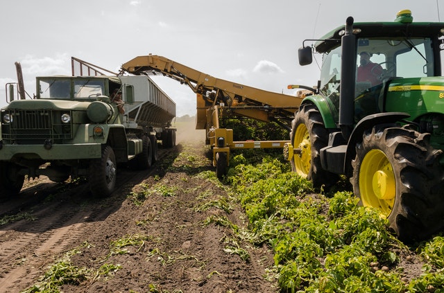 Alimentos que revierten cambio climático