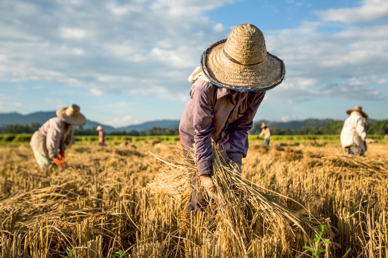 L’Oréal fija metas de sustentabilidad a 2030