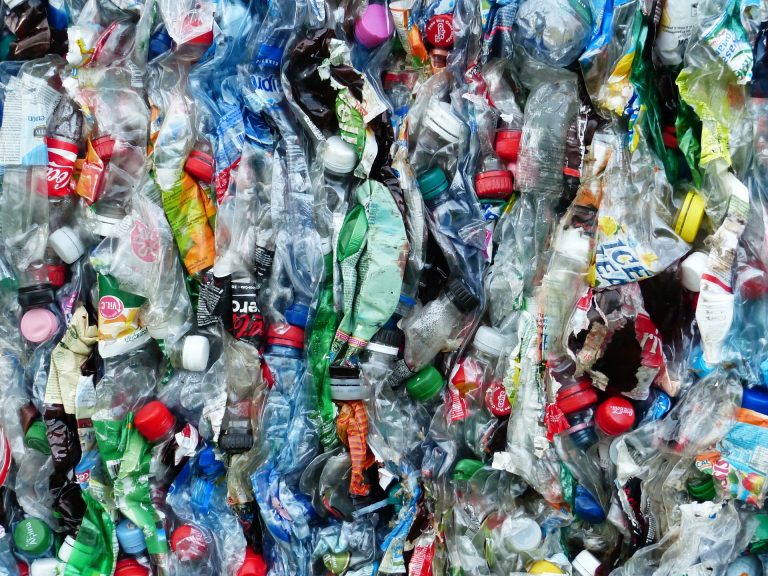 Enzima come plástico elimina botellas seis veces más rápido