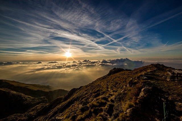 Lanzan primer fondo de inversión a gran escala para conservación y  restauración de la naturaleza – ExpokNews