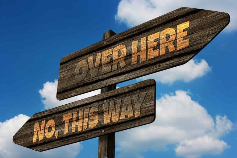 ONU anuncia los 17 Jóvenes Líderes para los 17 ODS