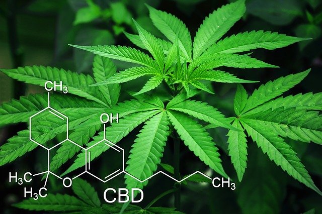 Empaques de marihuana sostenibles