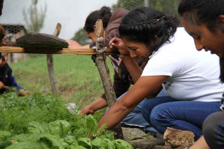 Dan a conocer a ganadores del Premio Luis Elizondo al Sentido Humano 2020
