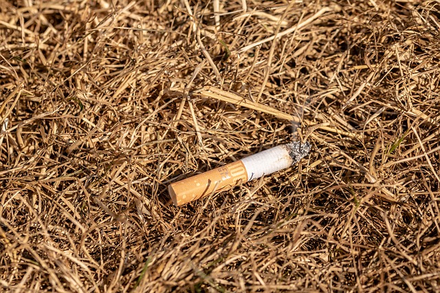 Philip Morris le dice adiós a sus cigarros en México