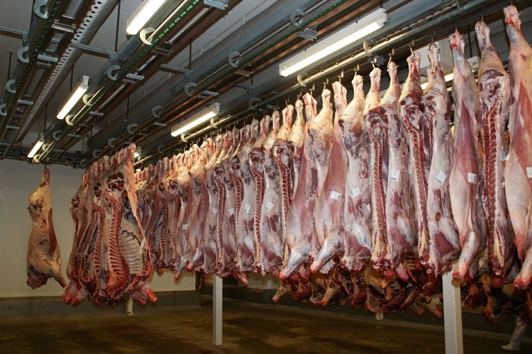 8 de cada 10 proveedores de carne y productos lácteos no actúan sobre el cambio climático, afirman los inversores