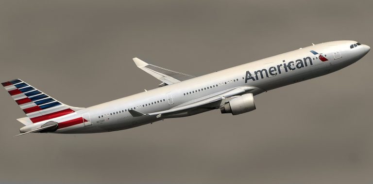 American Airlines no permitirá más animales de compañía