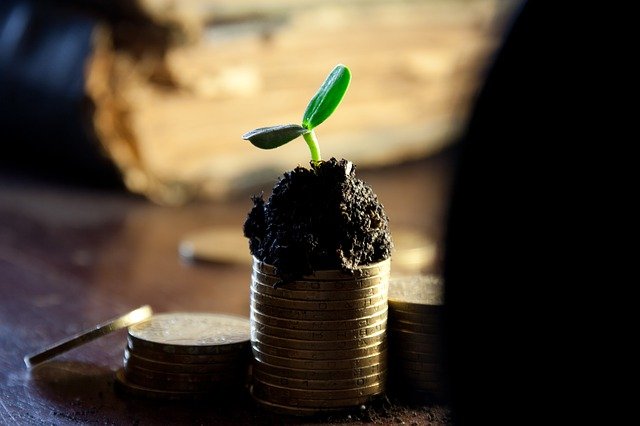 3 razones para alinear la sostenibilidad y las finanzas