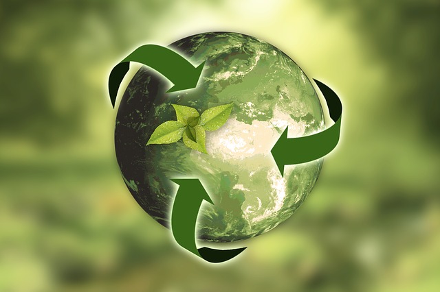 5 oportunidades de la economía circular
