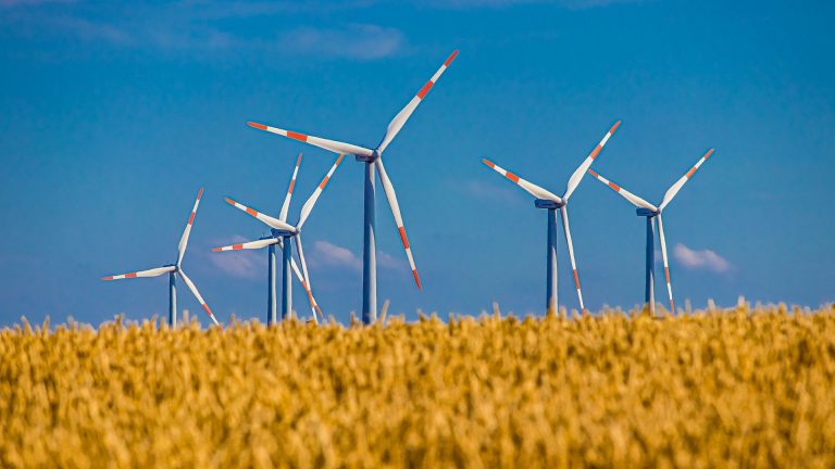 Enel proveerá energía a Kellogg para que logre metas en sustentabilidad