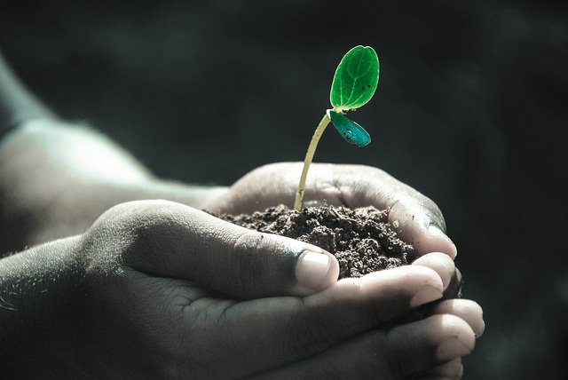 carreras para salvar al planeta