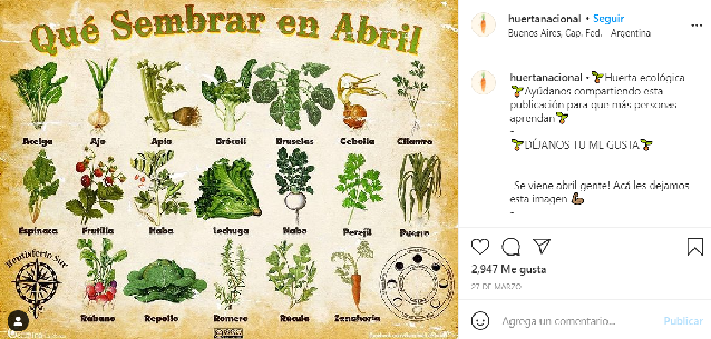 cuentas de Instagram sobre la Tierra