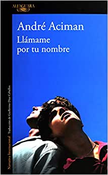 libros LGBTQ+ 