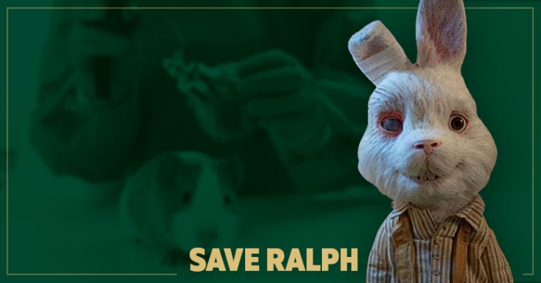 ¡No más pruebas cosméticas en animales!: Save Ralph