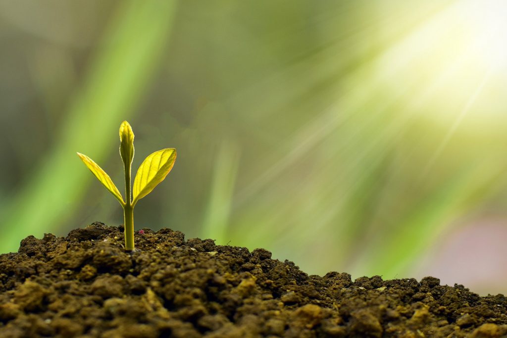  riesgo financiero relacionado con el clima