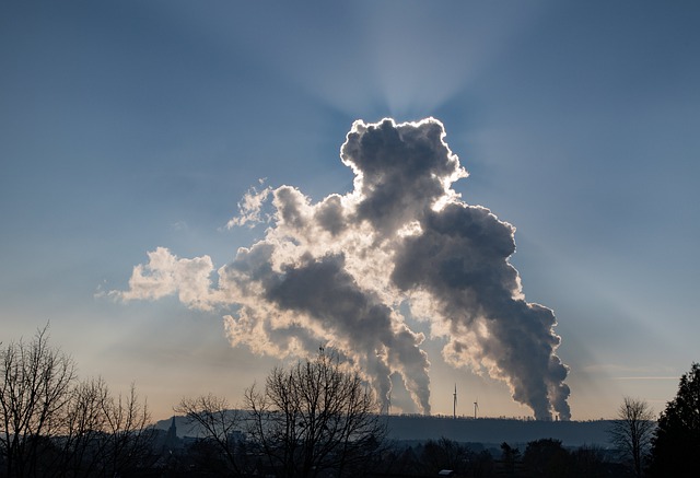 tendencias de sustentabilidad corporativa y cambio climático