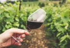 vino sustentable