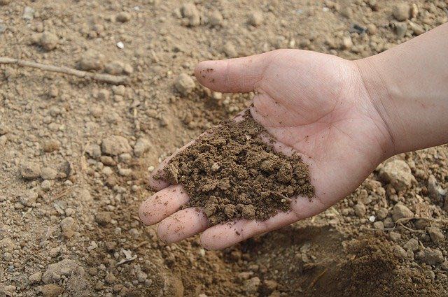 cuidar los suelos fertilizantes